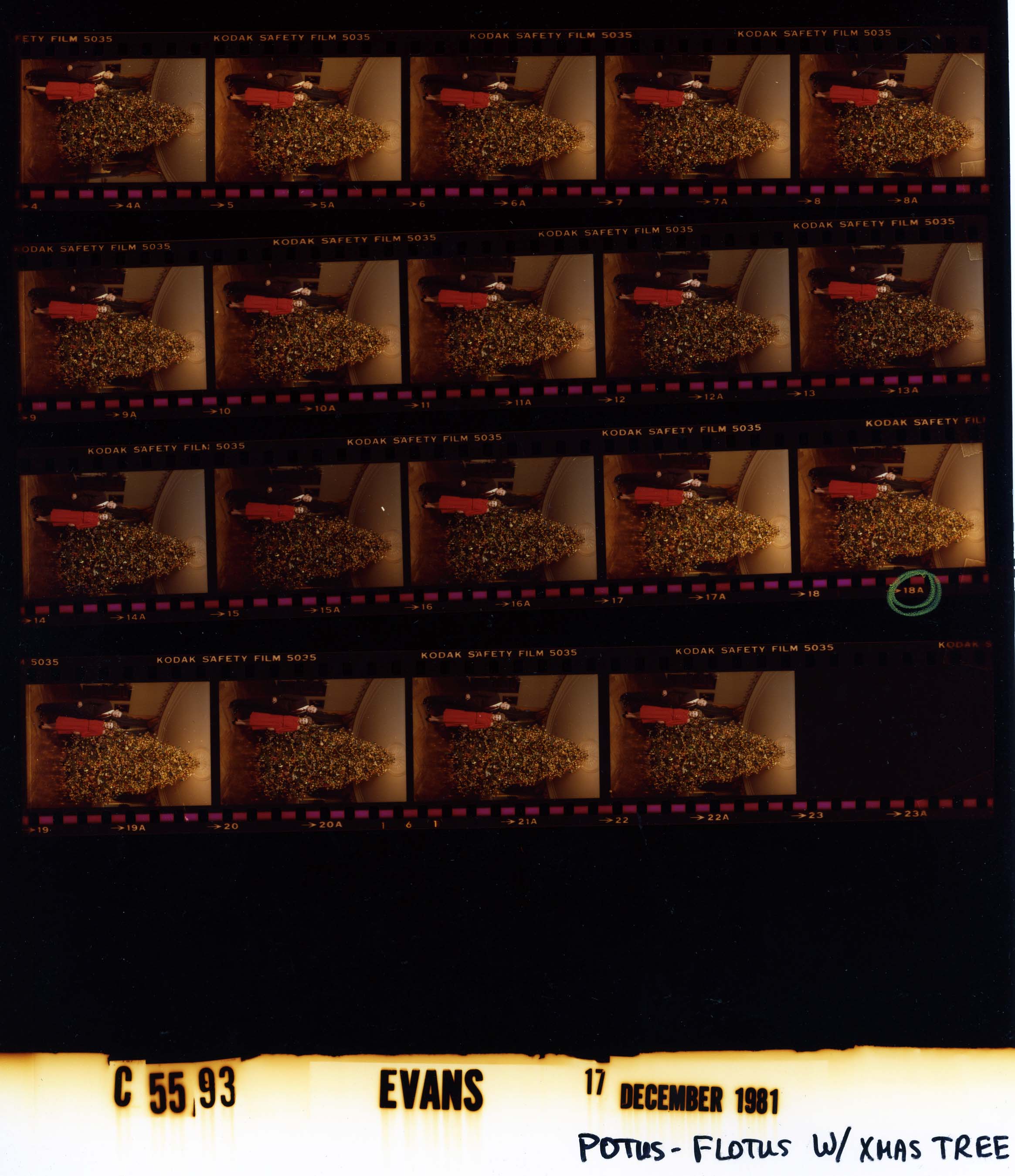 C05593 (01)