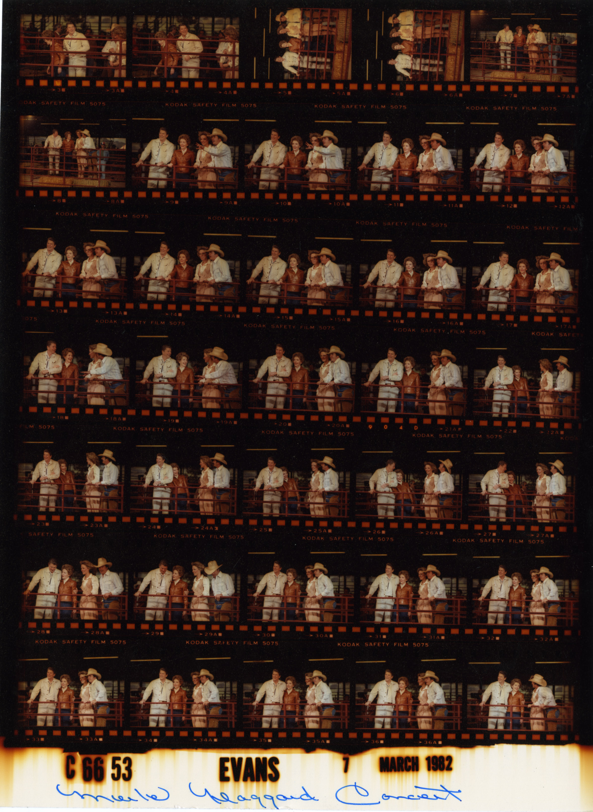 C06653 (01)