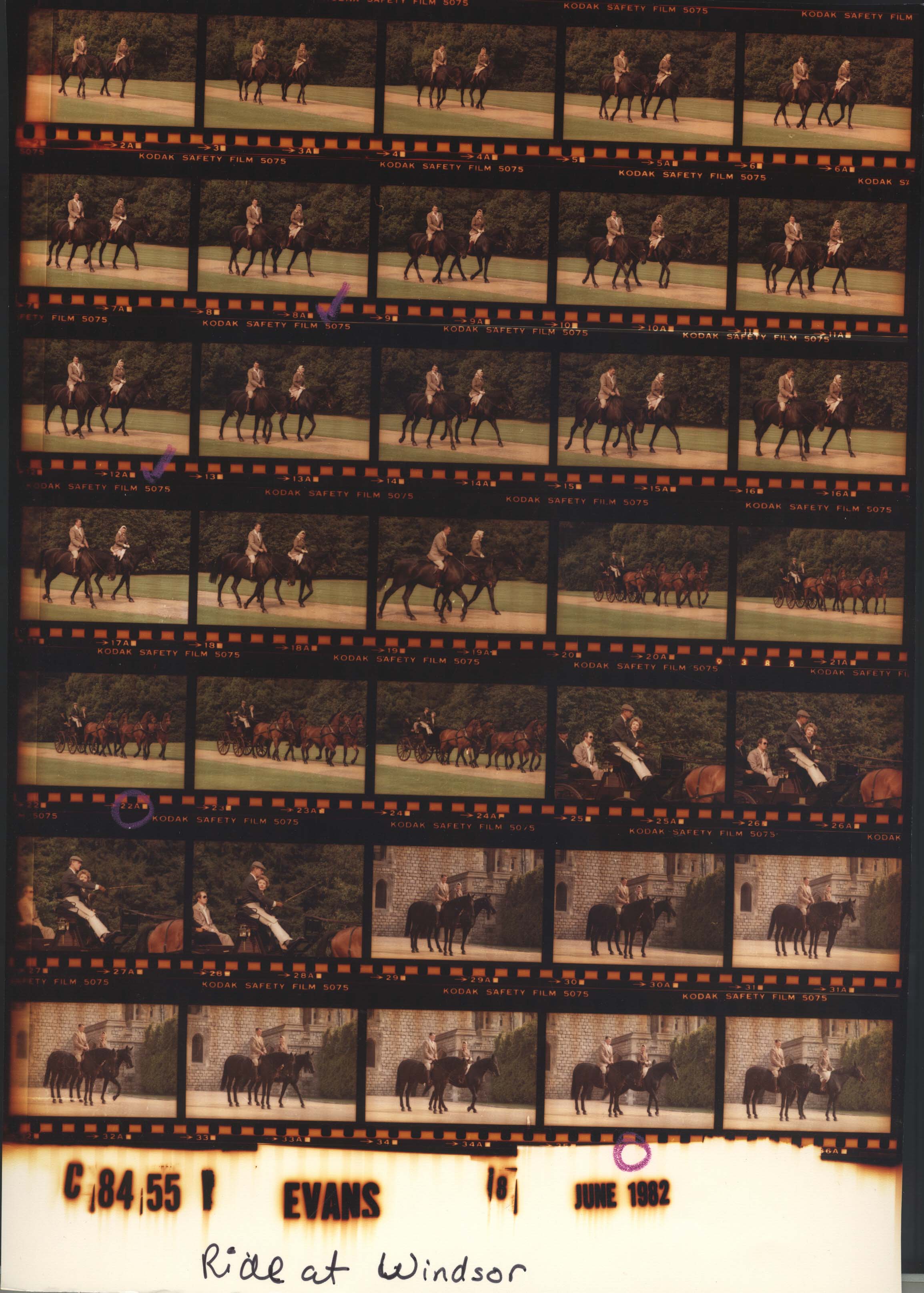 C08455 (01)
