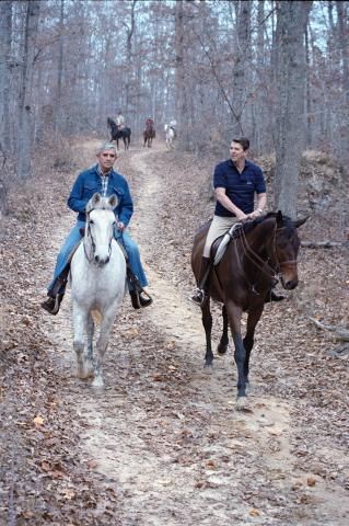 horseback riding