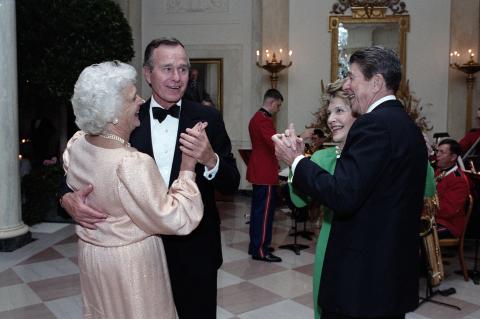 Bushes Dancing