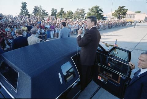 1984 Campaign