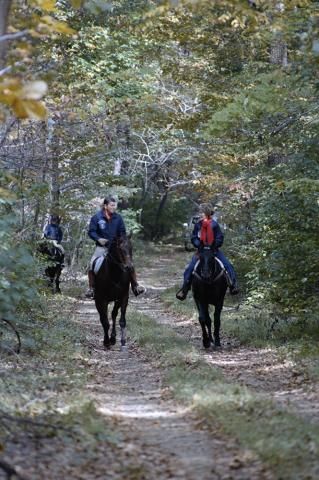 The Reagans horseback riding at Camp David