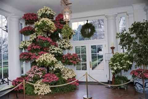 Christmas decorations in the East Wing Colonnade