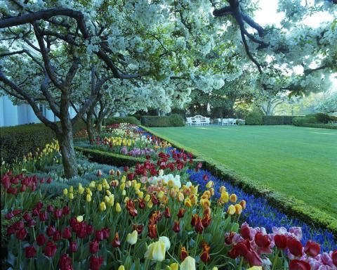 Rose Garden