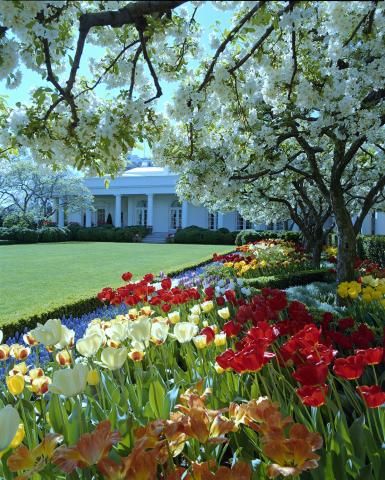 Rose Garden