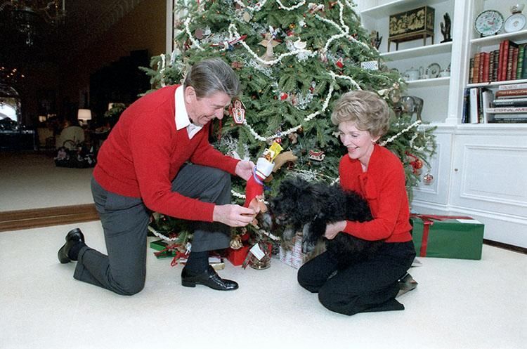 President Ronald Reagan and Nancy Reagan with Lucky in front of the White House Residence Christmas tree 12/24/1984  NAID: 75853829