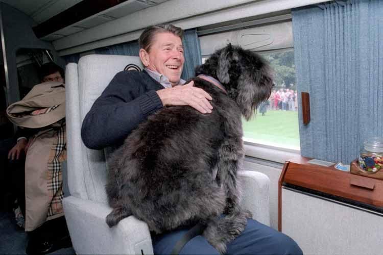 President Ronald Reagan aboard Marine One with Lucky in his lap 11/01/1985  NAID: 276564237